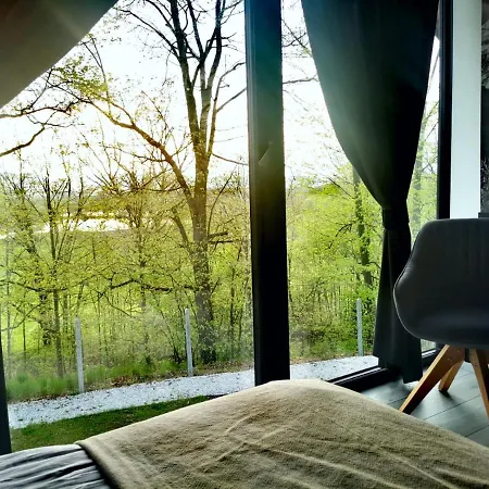 Σαλέ Marczyce Sosnówka