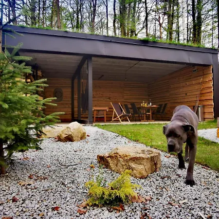 Chalet Marczyce Sosnowka (Jelenia Gora)