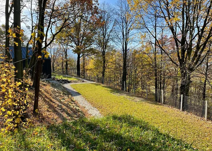 Marczyce Шале Соснувка