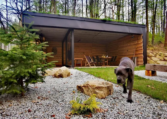 Chalet Marczyce Sosnówka